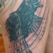 crow, tattoo, raven